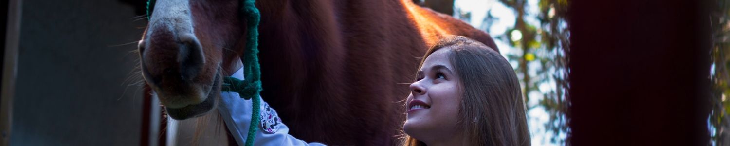 Curso de Medicina Veterinária da PUC Minas Poços de Caldas recebe Selo de Acreditação